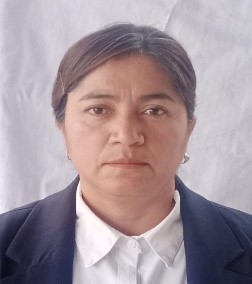L.L.E. Araceli Chavarria Hernández